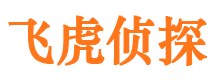 察布查尔私人侦探